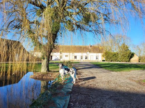 Mandres Apartment | Appartement Loft Le Haras d'Agathe et ses princes