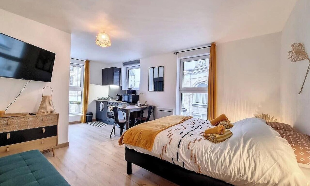 Quartier Pasteur Apartment | Bérénice vue préfecture tout confort