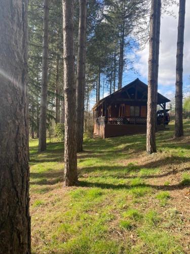 Cerans-Foulletourte Ski Chalet | Chalet avec étang privé proche zoo de la Flèche et circuit des 24H du Mans