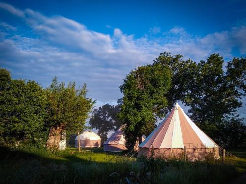 Miremont Other | Cool Under Canvas