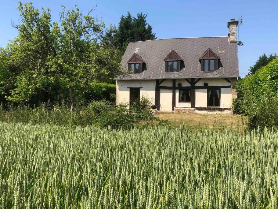 Le Mesnil-Gilbert House | Daisy Cottage with seasonal Swimming Pool