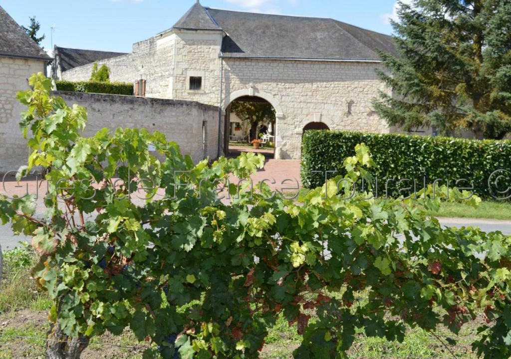 Ligre House | Gîte Ligré, 8 pièces, 15 personnes - FR-1-381-129