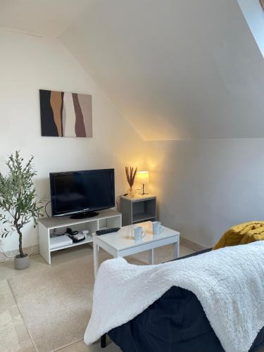 Quimper Apartment | L'écrin de marbre, hyper centre, PARKING