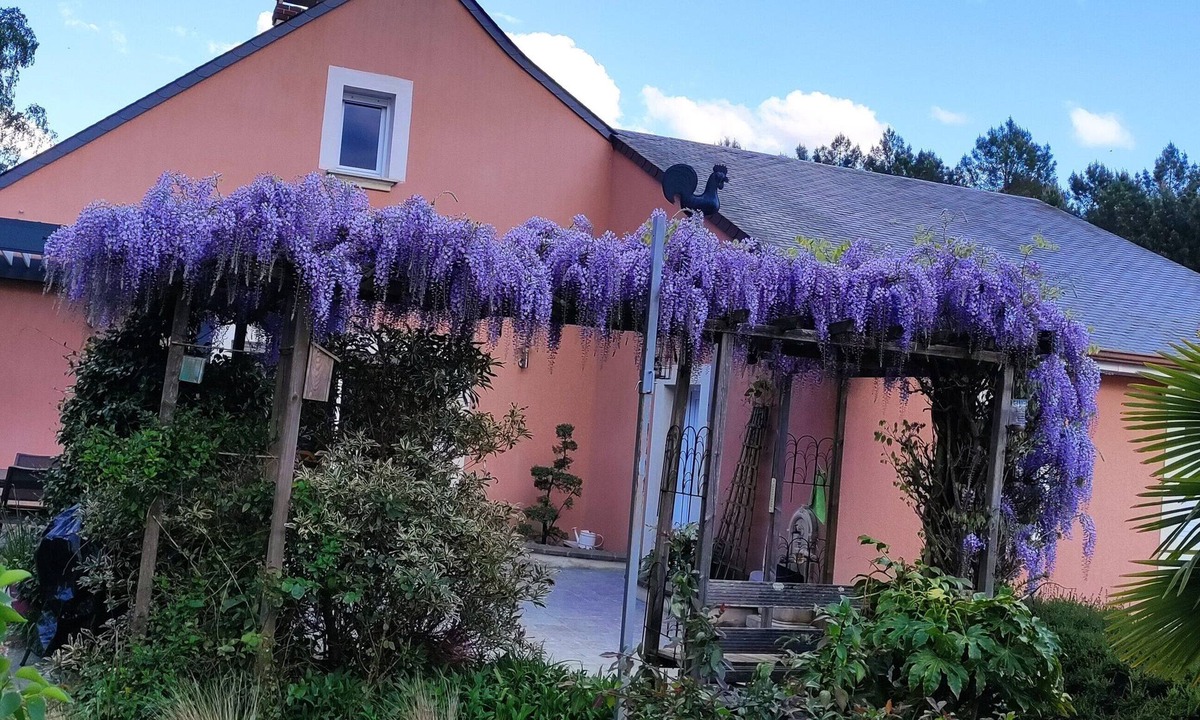 Chateau-l'Hermitage House | "L'oasis des pins" House 12 pers+ swimming pool 20mm from Le MANS