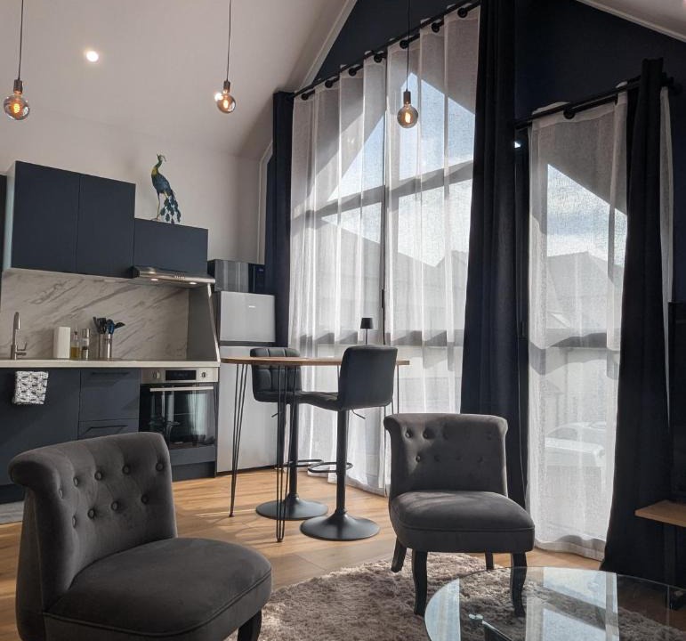 Les Ponts-de-Ce Apartment | Le Loft - Résidence Chez Gally à Angers