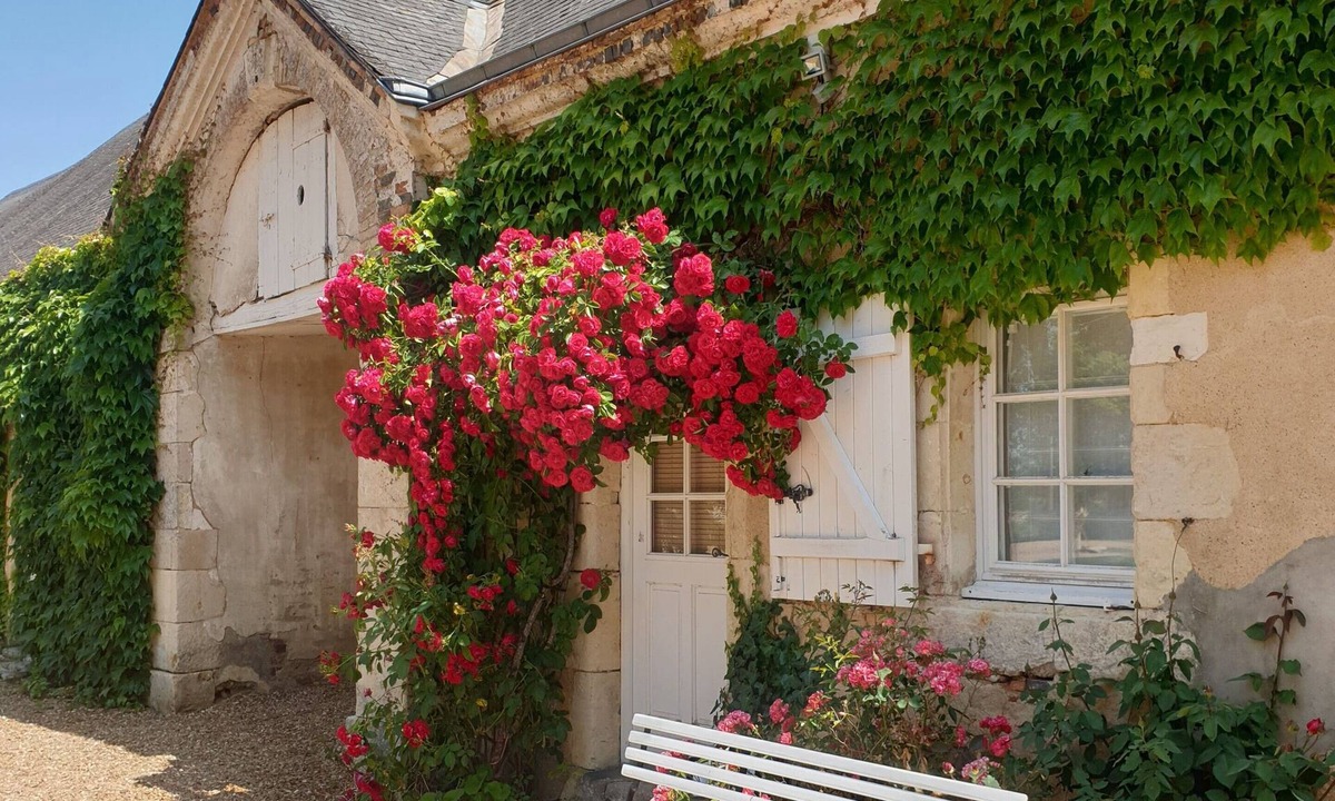 Beille House | Le studio de Bresteau