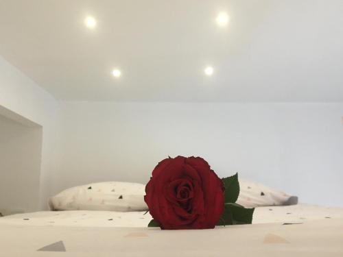 Bourges Apartment | Lovely Studio