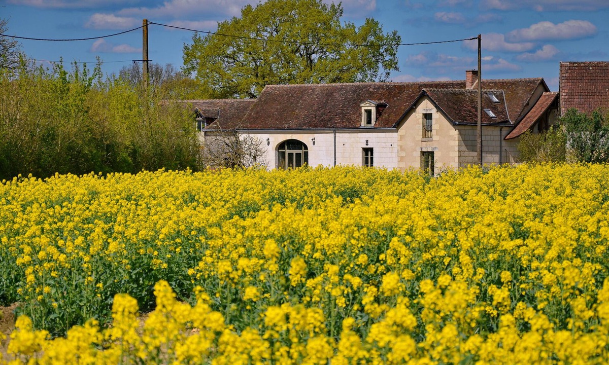 Villedieu-le-Chateau House | peaceful farmhouse surrounded by fields and woods, renovated comfort