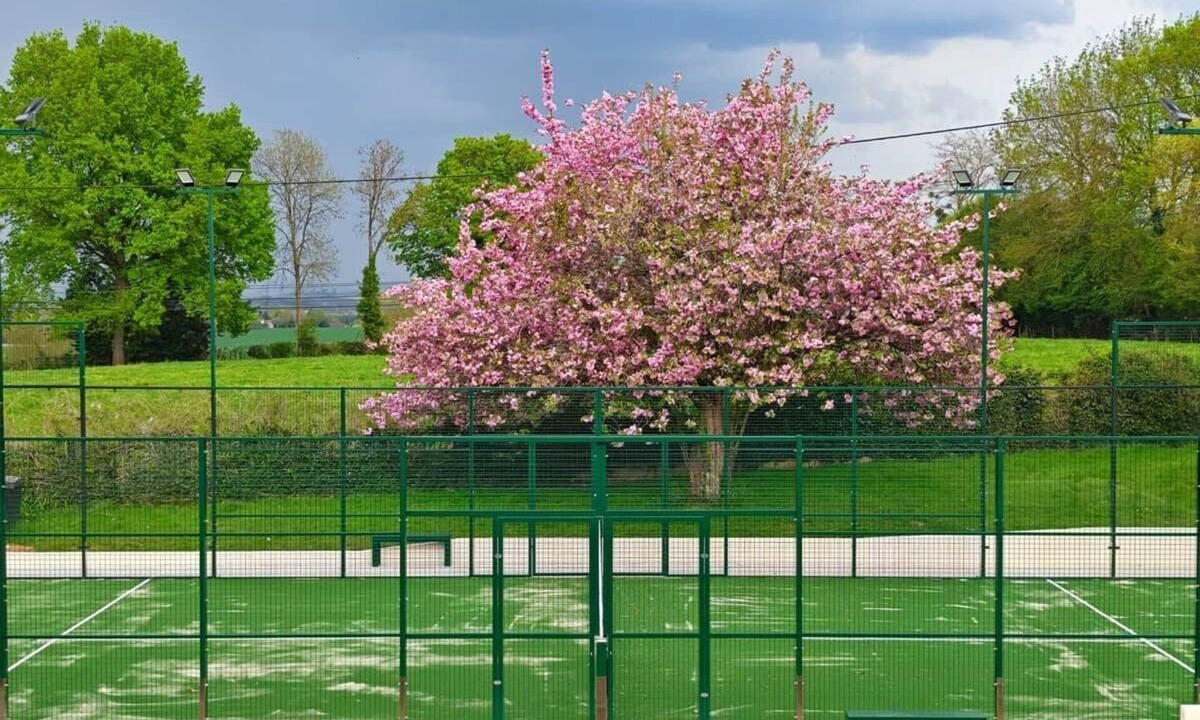 Saint-Pierre-la-Bruyere Villa | Villa La Bruyère - Padel, jacuzzi, sauna - 15 pers