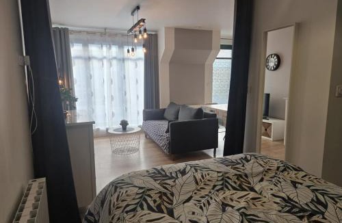 Ernee Apartment | 1 Le Cocon Mosaïque Centre-ville