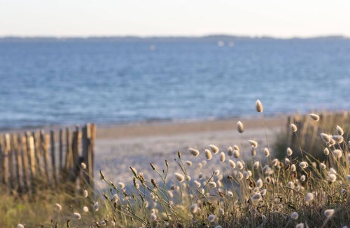 Carnac Apartment | 30 m² Apartment ∙ 1 bedroom ∙ 3 guests