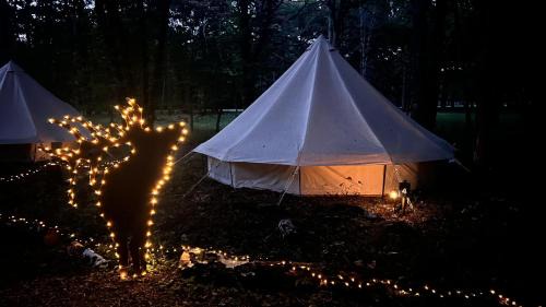 Sonchamp Other | BIVOUAC LOUPS Espace Rambouillet parc forestier et animalier