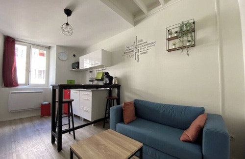 Haie Vigne Apartment | Bright Duplex 30 M² With Wifi Downtown