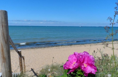 Saint-Denis-d'Oleron Other | Camping Cap Soleil