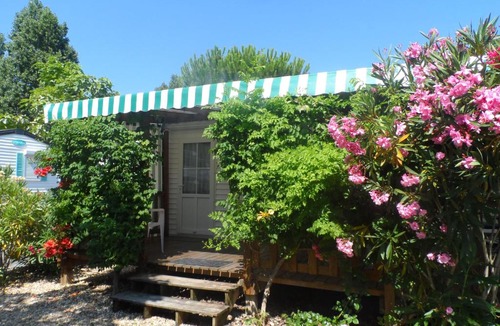 Saint-Denis-d'Oleron Other | Camping Cap Soleil