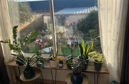 Miroir - Batignolles Bed & Breakfast | Chambre privative proche circuit