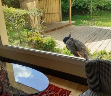 Sully Bed & Breakfast | Chambres d'Hôtes Le Petit Sully