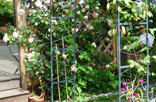 Oree d'Anjou Bed & Breakfast | Chambres d'Hôtes Vignes et Loire