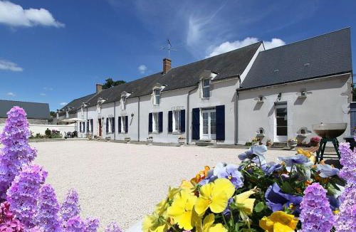 Cravant Bed & Breakfast | Chambres spacieuses près de Beaugency, petit-déjeuner inclus - FR-1-590-455