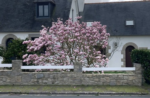 Pleneuf-Val-Andre House | Chez Martine and Michel