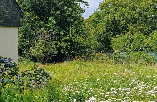 Grand-Champ House | Country house near Vannes and the Gulf; pets welcome