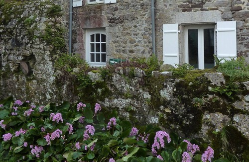 Regnezville-sur-Mer Cottage | Country stone house near the harbor of Regnéville sur mer