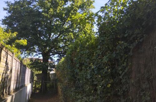 Cugand Other | Emplacement de toile de tente dans jardin