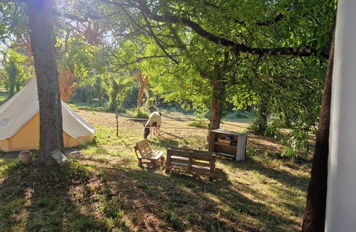 Ambrus Cabin | Equestrian experience and private Nordic bath.
