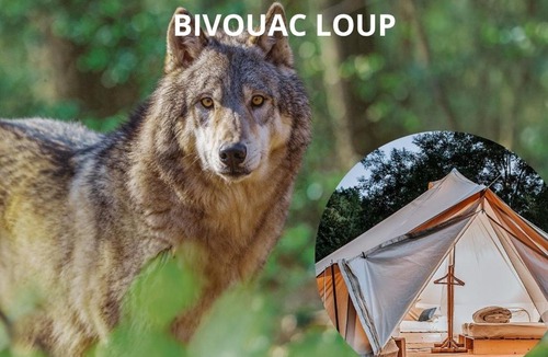 Sonchamp Other | Espace Rambouillet parc forestier et animalier BIVOUAC