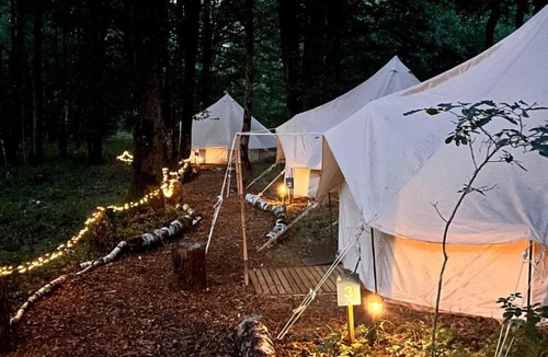 Sonchamp Other | Espace Rambouillet parc forestier et animalier BIVOUAC