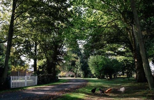 Dury Bed & Breakfast | Ferme de l'Abbaye