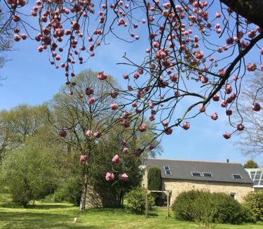 Le Vieux-Bourg Bed & Breakfast | Kericouette et Délices