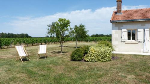 Saint-Georges-sur-Cher House | l'Ecrin au coeur des vignes