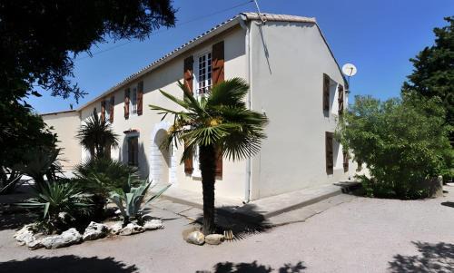 Argeliers House | L'oasis