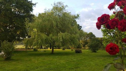Jupilles House | La Berceenne