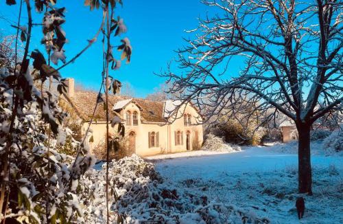 Courcival House | La Maison Sycomorette