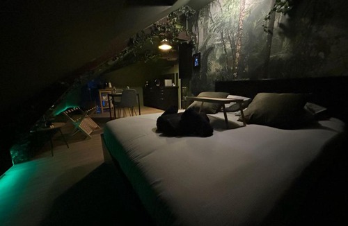 Vertou Apartment | La Suite Jungle - charme et confort - Vertou