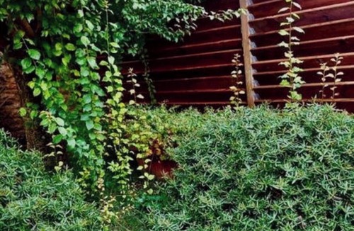 Periers-sur-le-Dan House | Le Clos du Dan, a vacation rental near tourist attractions