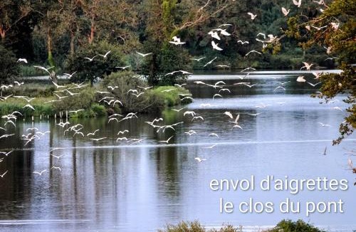 Theix-Noyalo Apartment | Le clos du pont, appartement relax