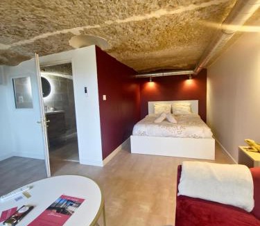 Saint-Etienne-de-Chigny Apartment | Le Cocon Troglodyte fraîcheur naturelle