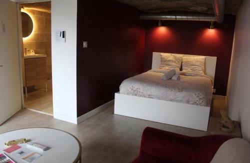 Saint-Etienne-de-Chigny Apartment | Le Cocon Troglodyte fraîcheur naturelle