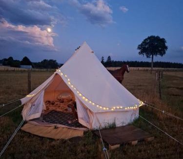 Saint-Vigor-des-Mezerets Other | Le Nid des Prairies