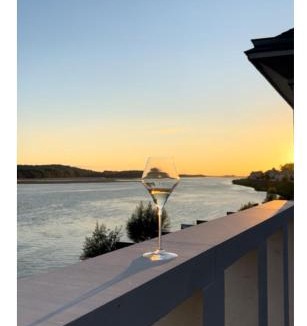 Saint-Mathurin-sur-Loire Apartment | Les sternes de st Mathurin sur Loire , terrasse sur la Loire