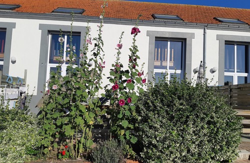 Sallertaine House | Location Classée 3* - 4 rooms - 6 people - heated swimming pool