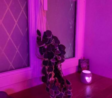 Brain-sur-Longuenee Villa | Love Room La Parenthèse Angevine - Angers