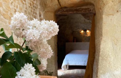 Deneze-sous-Doue House | Maison Troglodyte La Hulotte - Charme et tranquillité