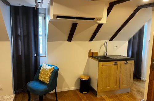 Saint-Avertin House | Manoir Drissia - Tours Centre, France