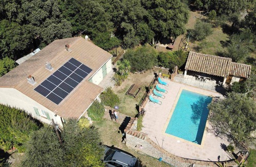 Tornac House | Olive trees