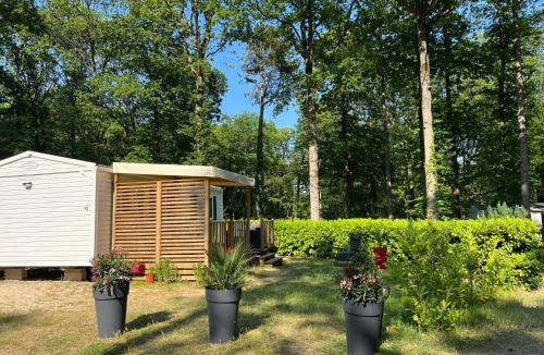 Saint-Cheron House | Parenthèse en forêt