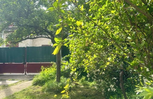 Colombes House | ✨ PRIME VILLA: 5 Double Beds + Garden – Near PARIS, BOURGET & STADE DE FRANCE ✨